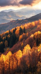 Canvas Print - Golden light bathing autumnal forest on mountainside