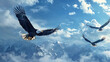 © esta - Eagles soaring in the sky