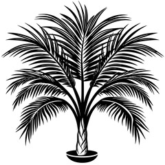 Wall Mural - Areca palm plant silhouette vector illustration