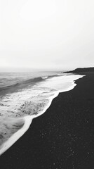 Wall Mural - Monochrome serene black sand beach