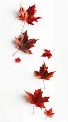Wall Mural - autumn leaves on white background