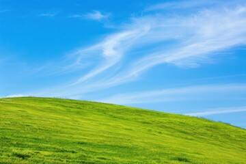 Sticker - Vibrant green hill landscape