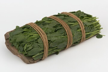 Fresh spinach bundle tied with twine on white background