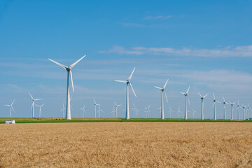 Wall Mural - Beneath a vibrant blue sky, rows of wind turbines turn gracefully, harnessing wind power to produce green energy across the Dutch landscape. Green energy transition in Europe Netherlands