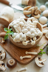 Wall Mural - Assortment of various raw mushrooms on gray concrete background.