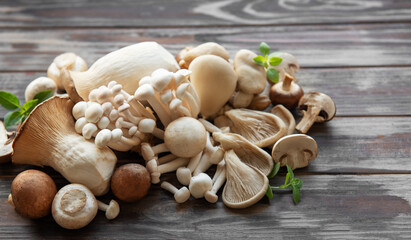 Wall Mural - Assortment of various mushrooms