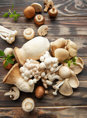 Wall Mural - Assortment of various  mushrooms