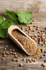 Wall Mural - Coriander powder in scoop, seeds and green leaves on wooden table