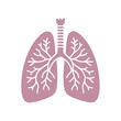 © Riki - human lung icon flat style