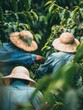 © vefimov - Two workers in hats harvesting tea from bushes on a plantation.