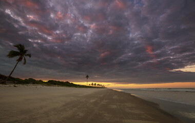 Wall Mural - Tropical beach