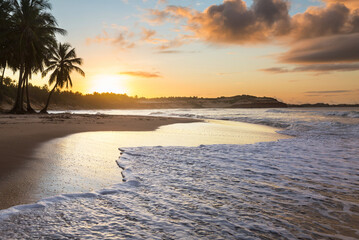 Sticker - Tropical beach