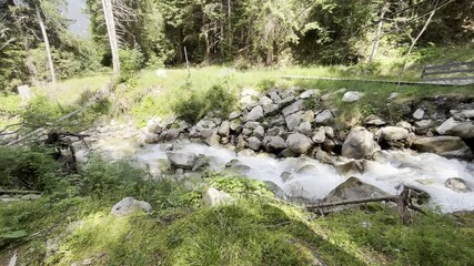 Wall Mural - stream in the woods in ponte di legno, italy, 13th august 2024