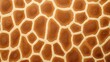 © Wikrom - Giraffe skin, unique patches of brown and tan, seamless pattern, side angle, natural daylight