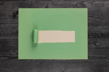 Flat lay background blank mockup of green construction paper with rip to add text.