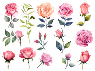 Wall Mural - cute pink rose watercolor clipart set