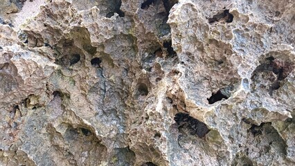 A large rock with many holes in it