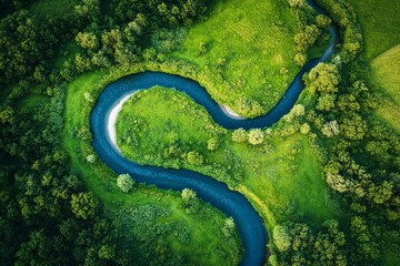 Wall Mural - The river gracefully curves through the rich, green valley, framed by flourishing vegetation and a serene landscape