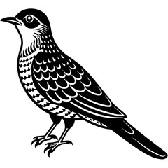 Poster - cuckoo bird silhouette vector illustration 