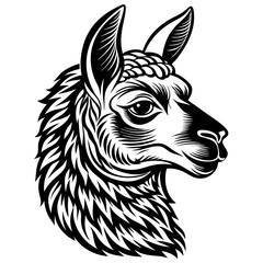 Poster - portrait of a lama in profile logo vector illustration 