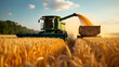 © JinOdin - Unloading grains into truck by unloading auger. Combine harvesters cuts and threshes ripe wheat grain. Wheat harvesting on field in summer season. Process of gathering crop by agricultural machinery