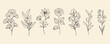 © Maria - Hand drawn ginkgo, eucalyptus, cosmos, rose, bougainvillea, olive, bluebell