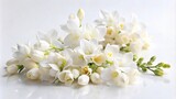 A delicate and elegant bouquet of pure white freesia blossoms, symbolizing innocence, purity, friendship, new beginnings, and good luck.
