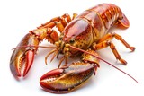 Detailed lobster with textured shell isolated on white background. Generative AI