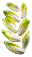 Wall Mural - Fresh Belgian endive leaves scattered, isolated PNG transparent