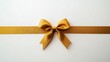 © NovaVision - Golden Ribbon Bow on White Background