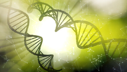 Wall Mural - dna chains rotating on shining green nature science illustration background.