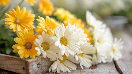 Poster - Colorful Daisies in a Wooden Tray Near Soft Natural Light