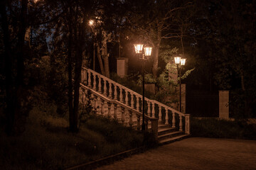 Wall Mural - night in the park