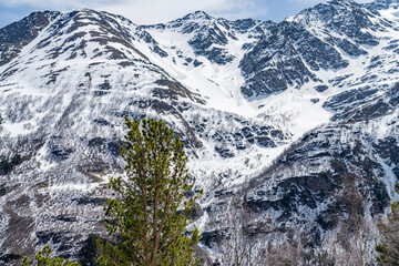 Wall Mural - snow covered mountains