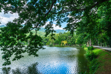 a public place leisure travel landscape lake views at Ang Kaew Chiang Mai University and Doi Suthep nature forest Mountain views spring cloudy sky background with white cloud.