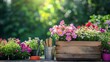 © Nijat - Summertime gardening and planting concept: wooden box, garden tools, and potted flowers