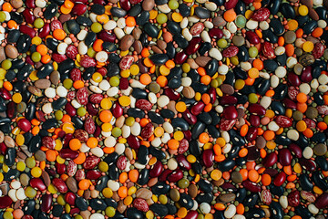 Wall Mural - Colorful Beans and Lentils