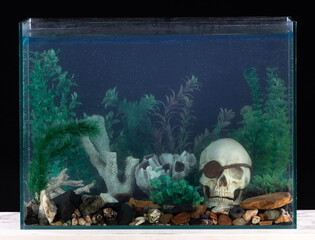 Wall Mural - aquarium design with pirate decorations