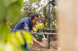 © Guillermo Spelucin - Latin gardener watering plants in a nursery garden