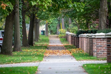 Sticker - Peaceful tree-lined sidewalk in a residential neighborhood during autumn with fallen leaves