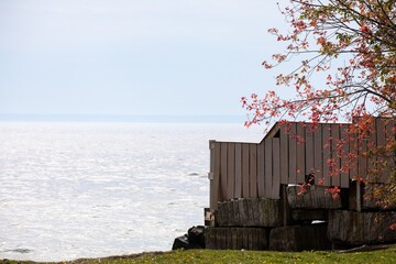 Poster - Serene lakeside view with autumn trees and a wooden dock under a bright sky