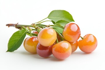 Wall Mural - Mystic photo of Rainier Cherry on the vine, isolated on white background