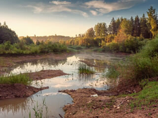 Wall Mural - a small river or lake with a lot of vegetation in a forest at sunrise. nobody. calm and peaceful moo