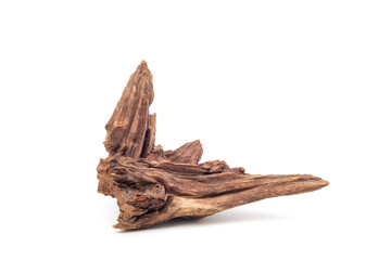 Piece of natural brown old wood. Tree stump. Isolated on white background.