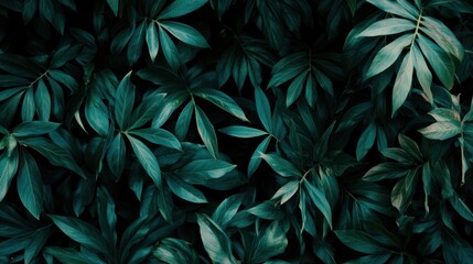 Canvas Print - A close up of a bunch of green leaves on the ground, AI