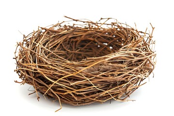 Ebrace nest isolated on white background.