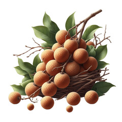 Wall Mural - longan fruits on transparent background png