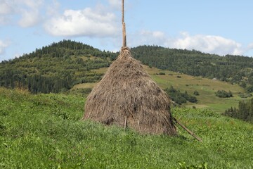 Sticker - Pile of hay on field on sunny day