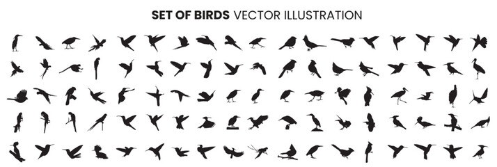 set of silhouettes birds
