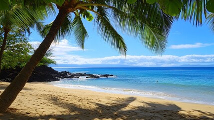 Wall Mural - Palm tree casting shade over sandy beach with blue ocean